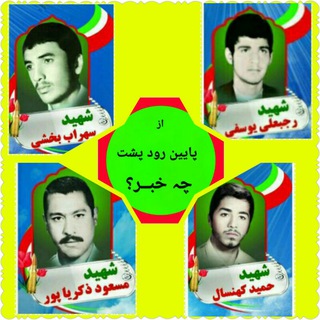 Telegram profile photo for ✔پائین رود پشت