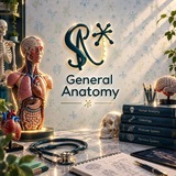 Telegram profile photo for SuperNeuron ( General Anatomy )