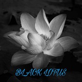 Telegram profile photo for 𝙱𝙻𝙰𝙲𝙺 𝙻𝙾𝚃𝚄𝚂 𝙵𝙰𝙼