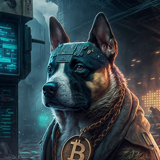 Telegram profile photo for BTChoVin