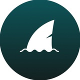 Telegram profile photo for Stake Shark