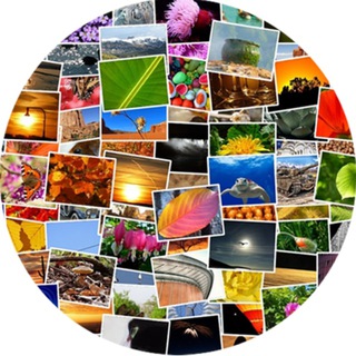 Telegram profile photo for Video Wallpaper