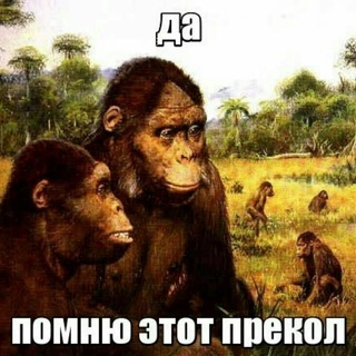 Telegram profile photo for Пицца куница