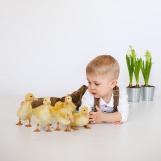 Telegram profile photo for Фотостудия Мгновение. Балашиха. Железнодорожный. Кучино.
