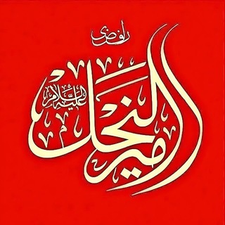 Telegram profile photo for رافضی ۱۴۰۰