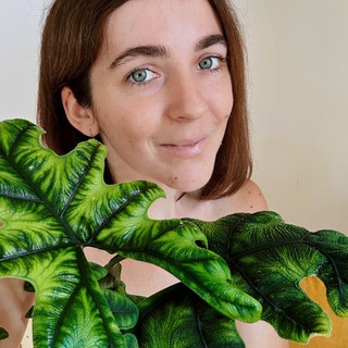 Telegram profile photo for LesHome🌿