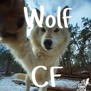 Telegram profile photo for wolf_kf