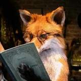 Telegram profile photo for хвост золотого солнца 🦊