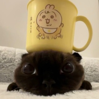 Telegram profile photo for Мейки ми гоу битибити♡