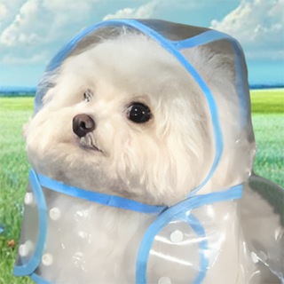 Telegram profile photo for Coat Dog Portal