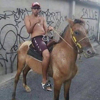 Telegram profile photo for AGRO É FODA
