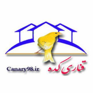 Telegram profile photo for قناری کده