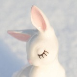 Telegram profile photo for Кролик.
