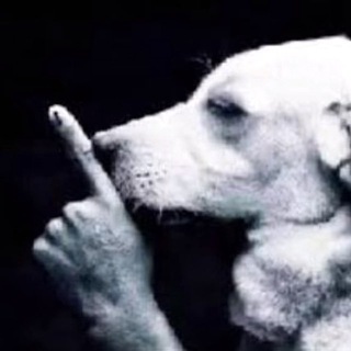 Telegram profile photo for Glitchor house