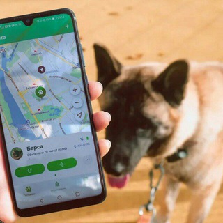 Telegram profile photo for 📍Потерянные питомцы в Приморье