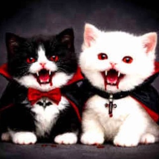 Telegram profile photo for вуху