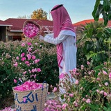 Telegram profile photo for الإسلام
