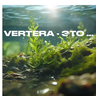 Telegram group profile photo for VERTERA-это жизнь.