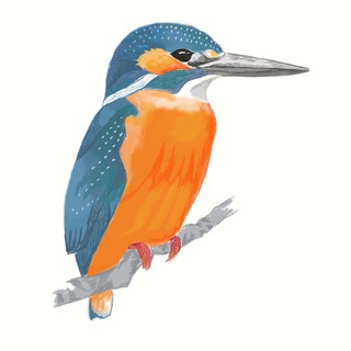 Telegram group profile photo for Ціў-ціў