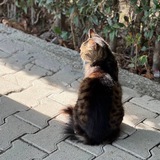 Telegram profile photo for الـيَقينْ