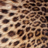 Telegram profile photo for Passionate