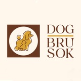 Telegram profile photo for 🐾Dog.brusok🐾
