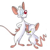 Telegram profile photo for Pinky and the Brain