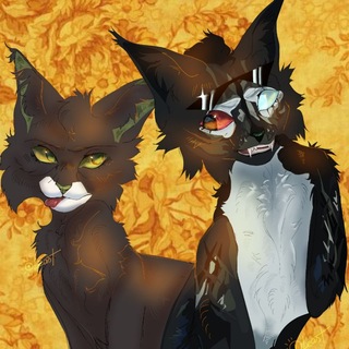 Telegram profile photo for || STUDIO : MxC