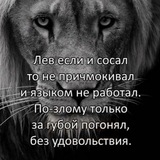 Telegram profile photo for переходник