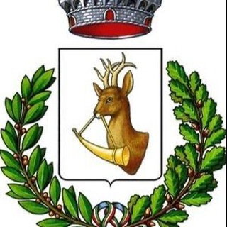 Telegram profile photo for Comune di Cazzano di Tramigna