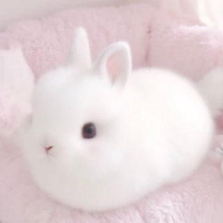 Telegram profile photo for Переходник
