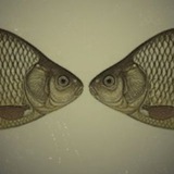 Telegram profile photo for комарун