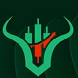 Telegram profile photo for The Bulls Trader