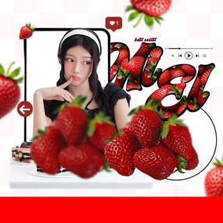 Telegram profile photo for ♡₊˚ MIEL ⋆⁺₊ Soloist 🍓