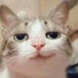 Telegram profile photo for PayNe⚡️资源分享频道