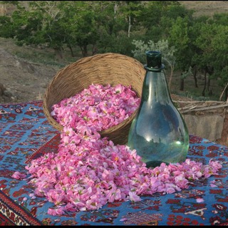 Telegram profile photo for اخبار جوشقان قالی
