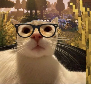 Telegram profile photo for Я - профессионал