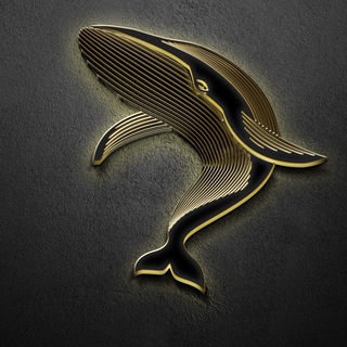Telegram profile photo for Bull Whale - Chatbox