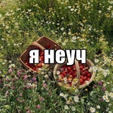 Telegram profile photo for Солянка