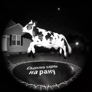 Telegram profile photo for Сыплю соль на рану 18+