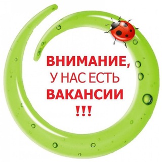 Telegram profile photo for Внимание! Работа Подработка Реклама Чат Халтура Спб Жумуш Москва Общепит