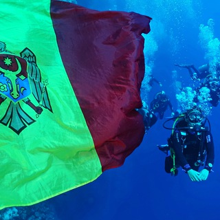 Telegram profile photo for Diving Federation