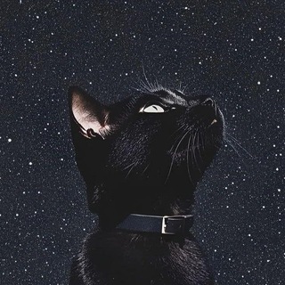 Telegram profile photo for 𝖣𝖠𝖱𝖪𝖭𝖤𝖲𝖲