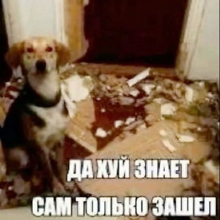 Telegram profile photo for переходник