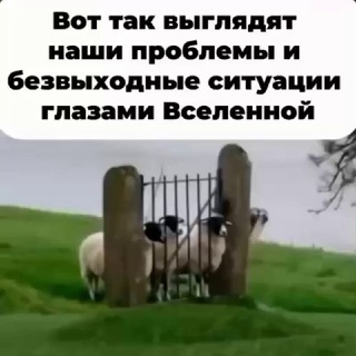 Telegram profile photo for ЛАРА ПРО СЧАСТЬЕ - помогу создать состояние "Спокойно хорошо" во всех сферах жизни