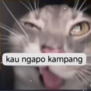 Telegram profile photo for BAJE CORE
