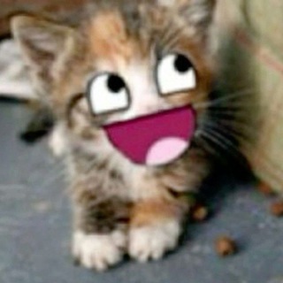 Telegram profile photo for xrozy.aep