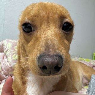 Telegram profile photo for OLD BILLY PORTAL