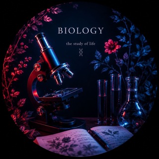 Telegram profile photo for 𝕬𝖓𝖌𝖚𝖘