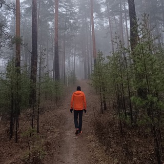 Telegram profile photo for День Другой Жизни | Перезагрузка